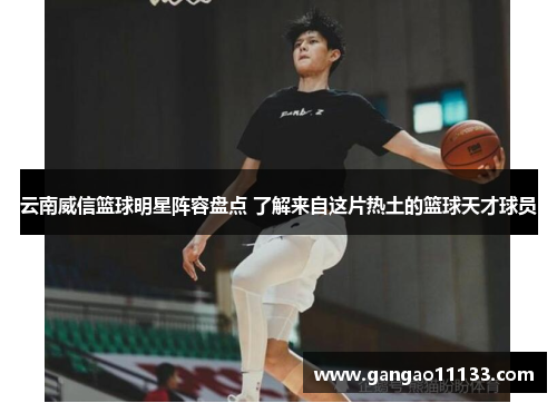 云南威信篮球明星阵容盘点 了解来自这片热土的篮球天才球员