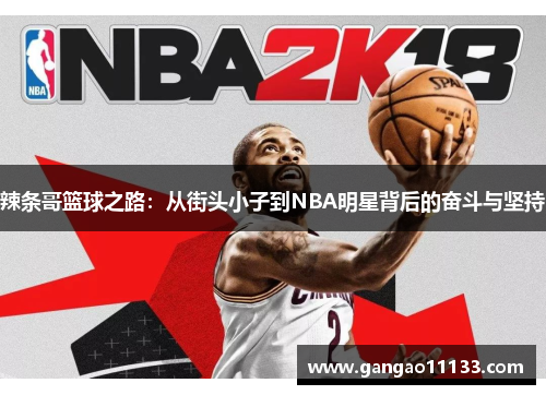 辣条哥篮球之路：从街头小子到NBA明星背后的奋斗与坚持