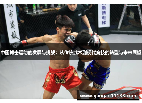 中国搏击运动的发展与挑战：从传统武术到现代竞技的转型与未来展望
