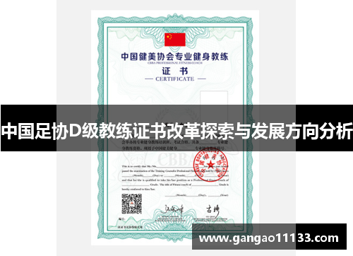 中国足协D级教练证书改革探索与发展方向分析